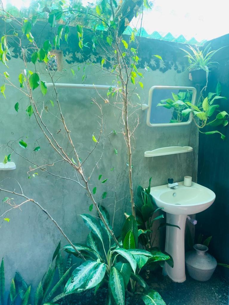 Malabar Home Stay ジャフナ 部屋 写真